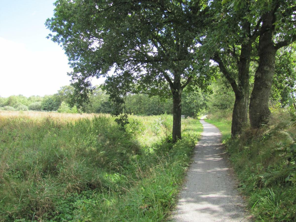 Het Swadde *
